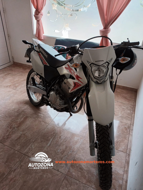 XR250 2023 - Image 2